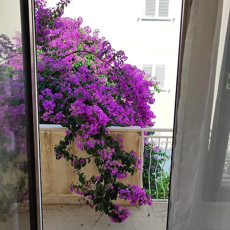 Relax * Podstrana